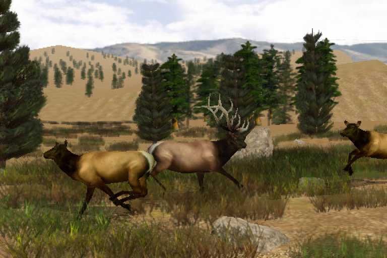 Big Buck Hunter Pro