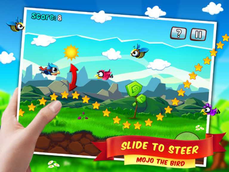 Bird Mania
