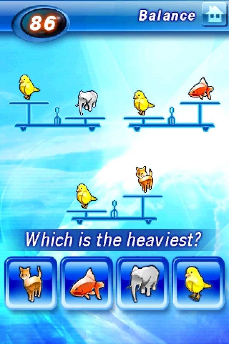 Brain Challenge™ LITE
