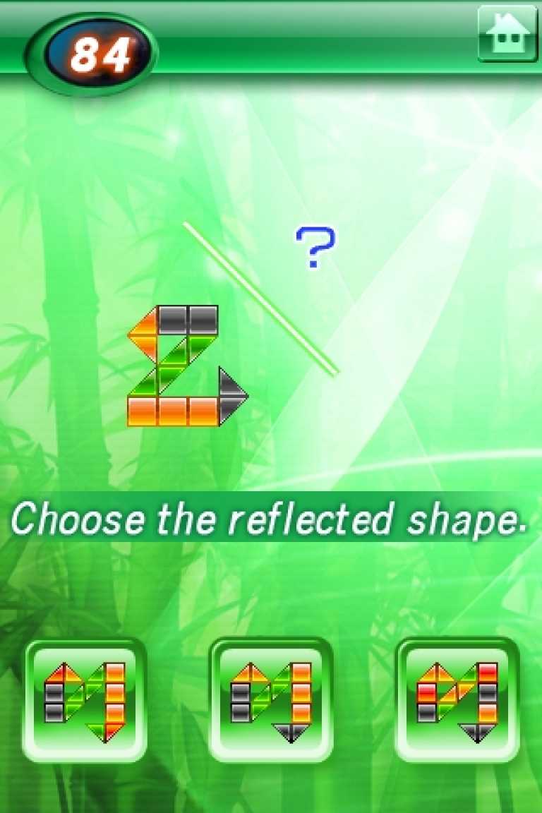 Brain Challenge™ LITE
