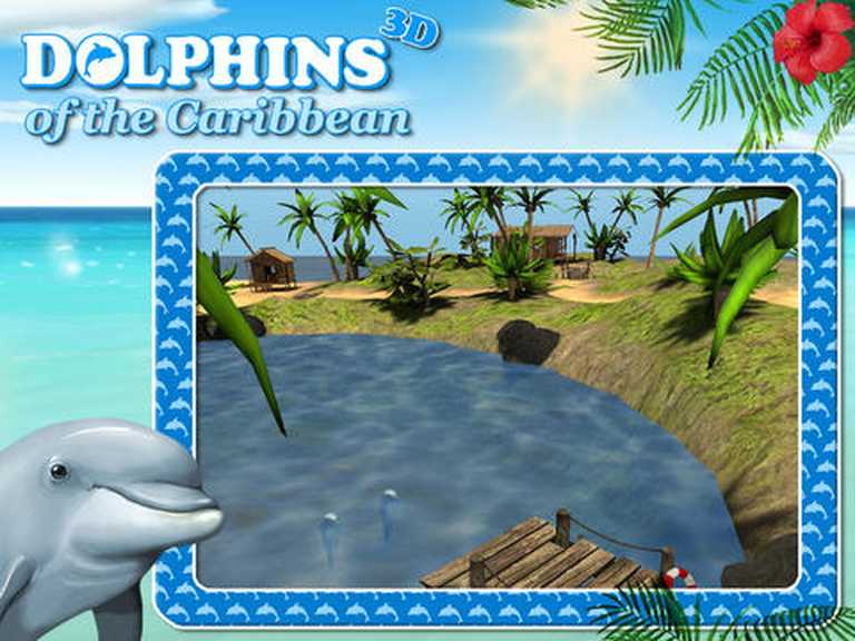 Dolphins of the Caribbean – Adventure of the Pirate’s Treasure