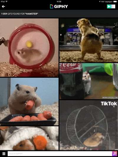 Giphy