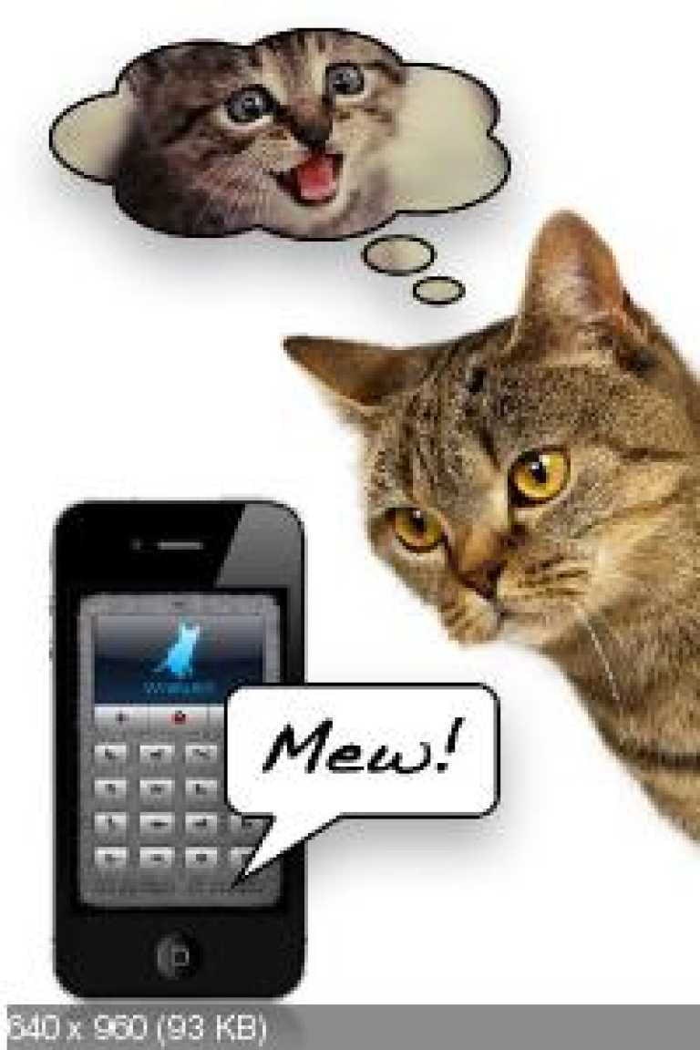 Human-to-Cat Translator Deluxe