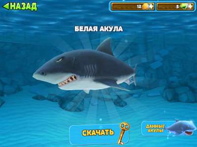 Hungry Shark