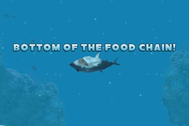 Hungry Shark - Part 3