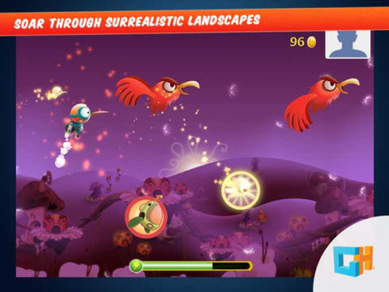 Kiwi Wonder: A Bird Dreams of a Flying Adventure