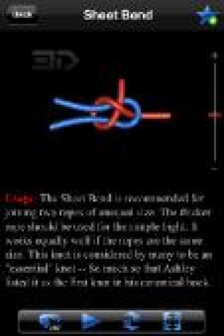 Knots 3D