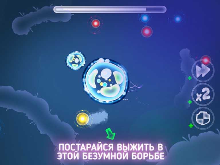 Micro World Evolution