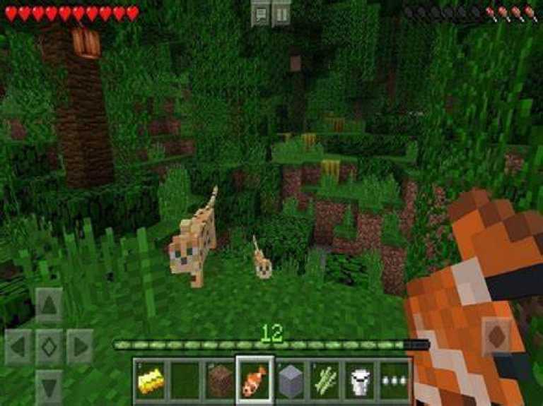 Minecraft – Pocket Edition