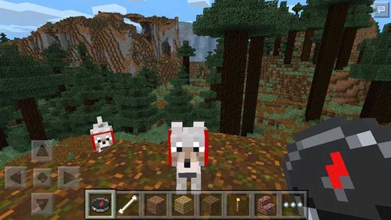 Minecraft