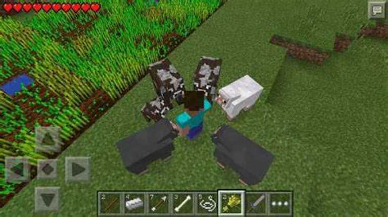 Minecraft – Pocket Edition