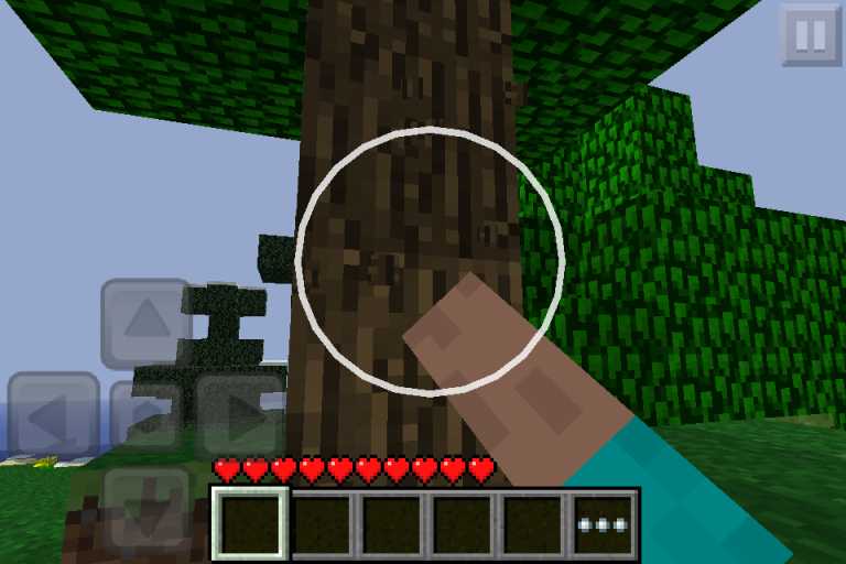 Minecraft – Pocket Edition