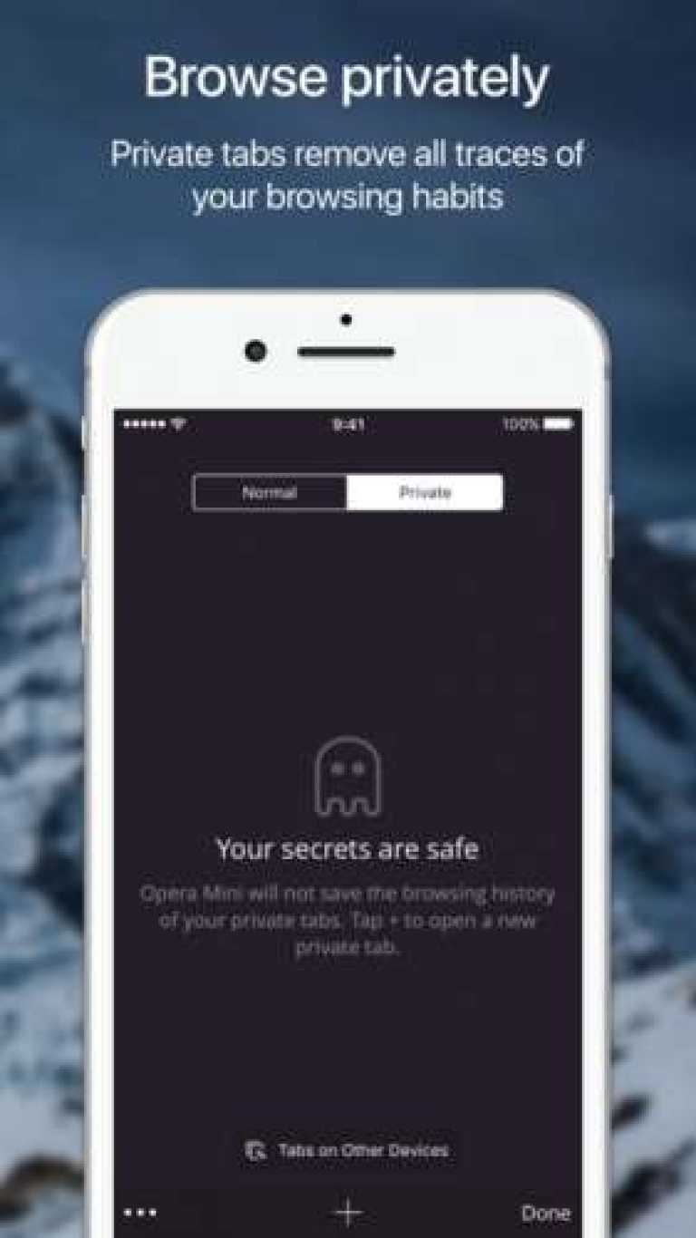 Opera Web Browser