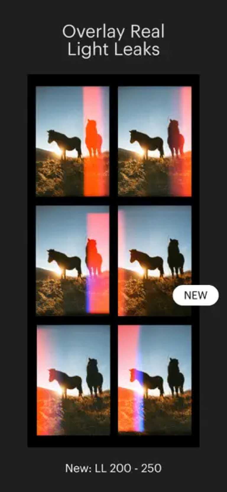Picfx