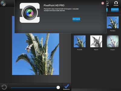 PixelPoint