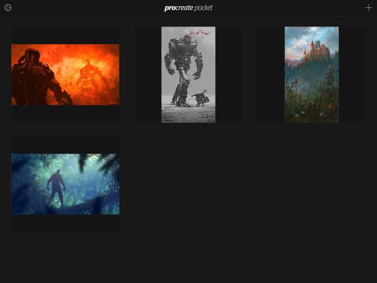 Procreate Pocket