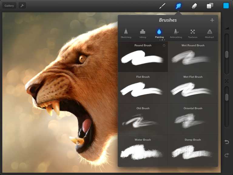 Procreate for ipad
