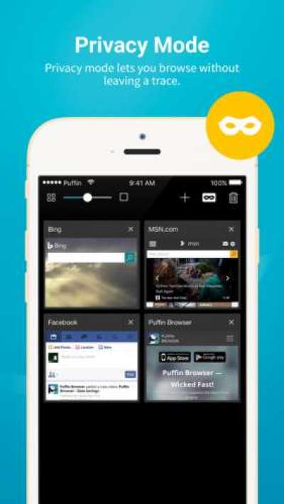 Puffin Browser Pro