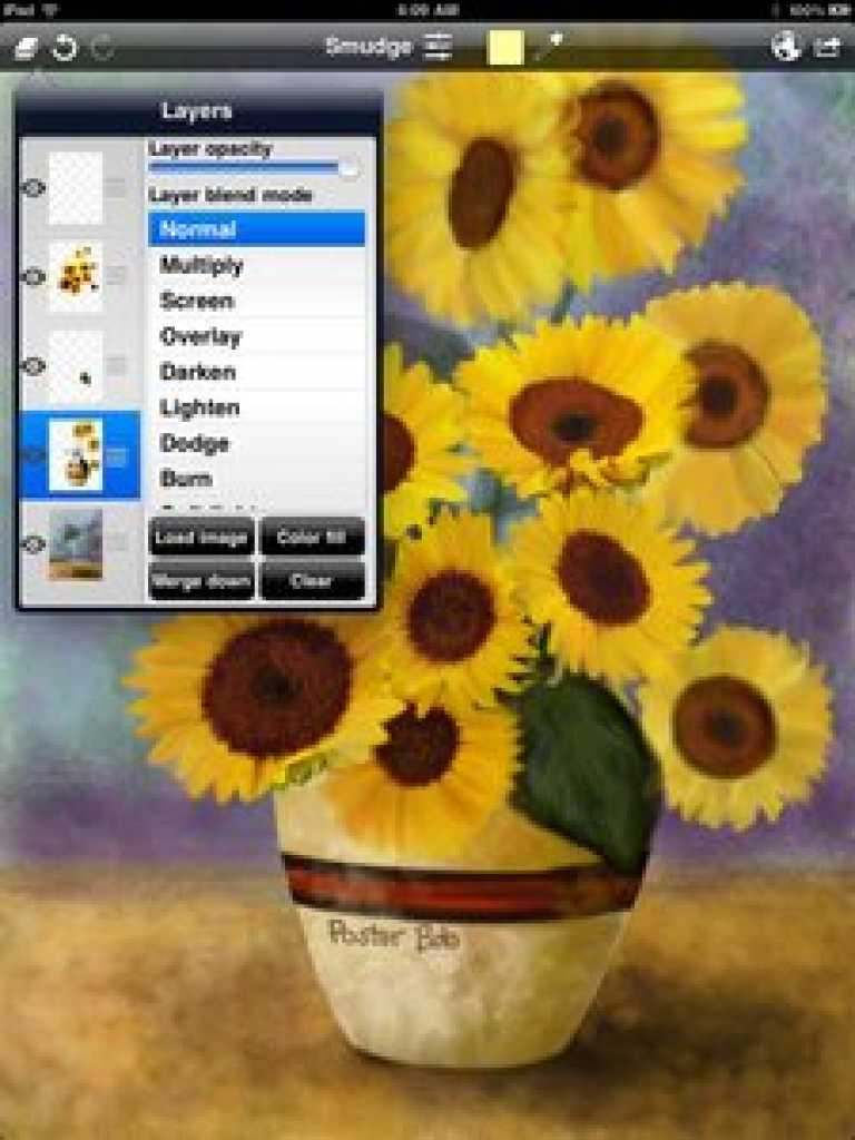 Sketch Club