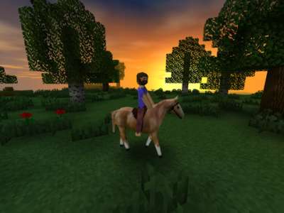 Survivalcraft