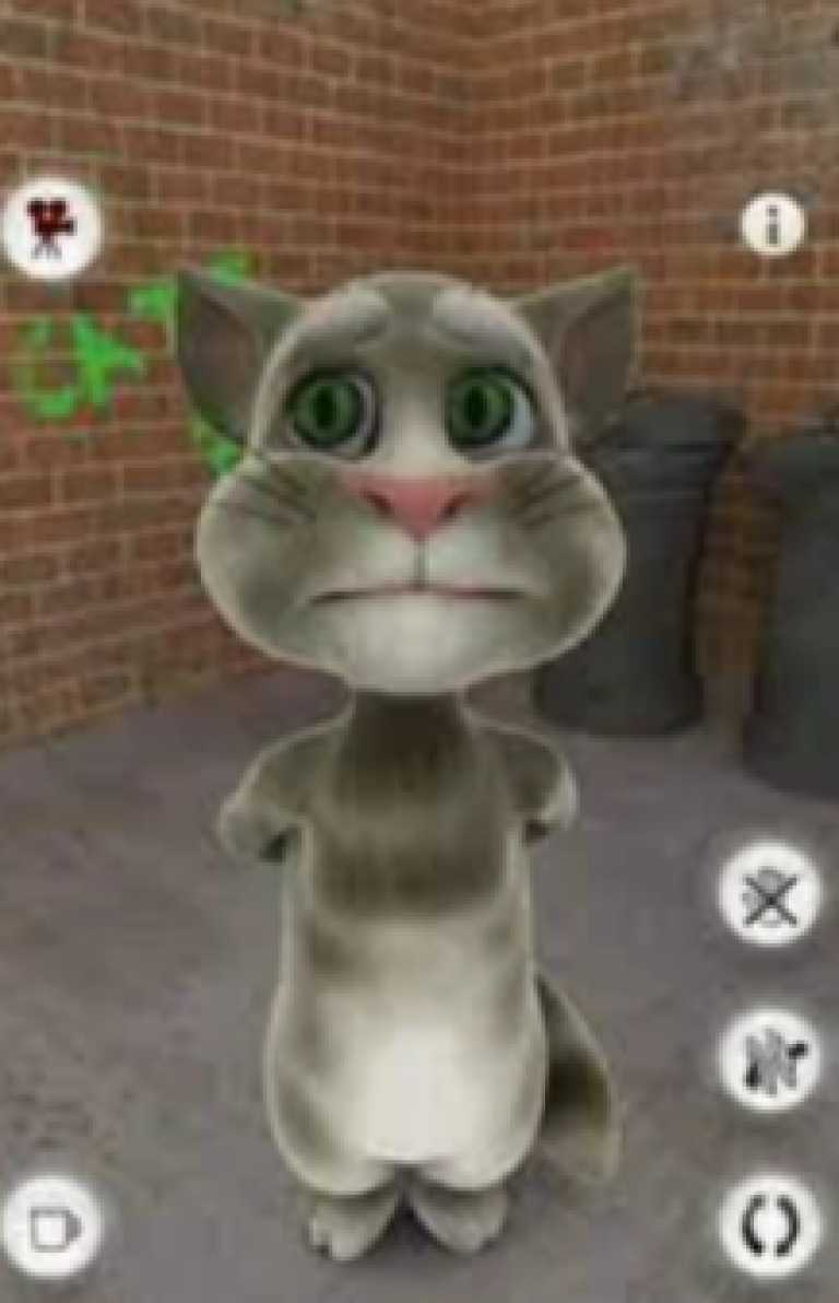 Talking Tom Cat for IPad