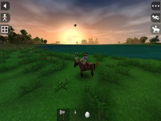 Survivalcraft