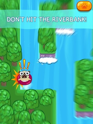 Pug Rapids