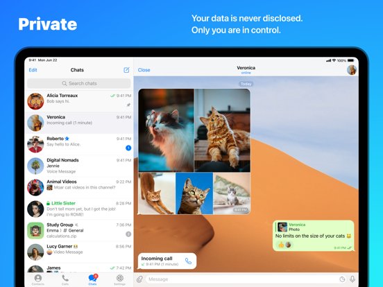 Telegram
