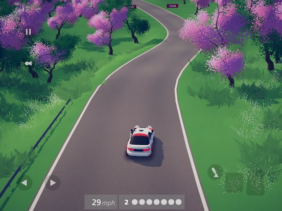 art of rally