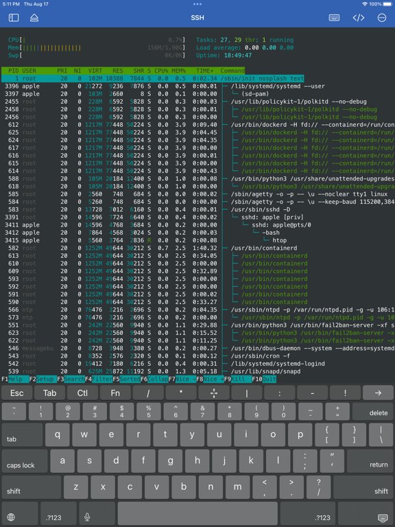 WebSSH