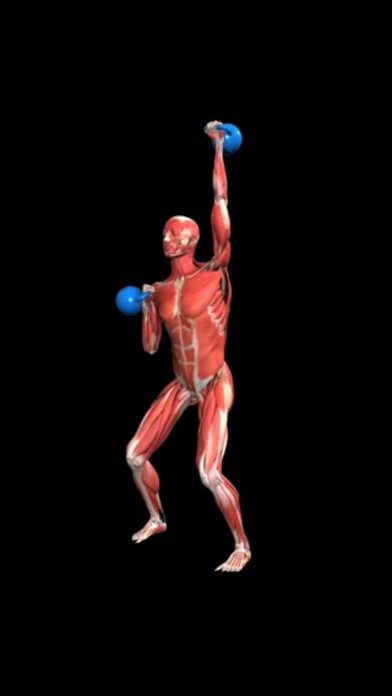 iMuscle - iPhone edition