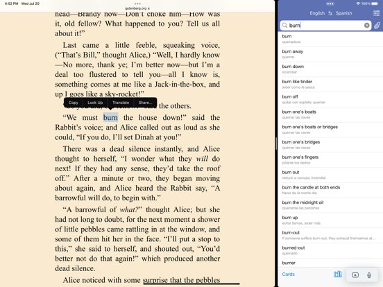 Lingvo Dictionary