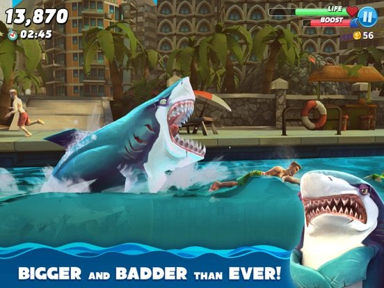 Hungry Shark
