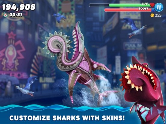 Hungry Shark