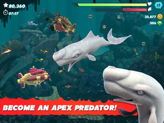 Hungry Shark