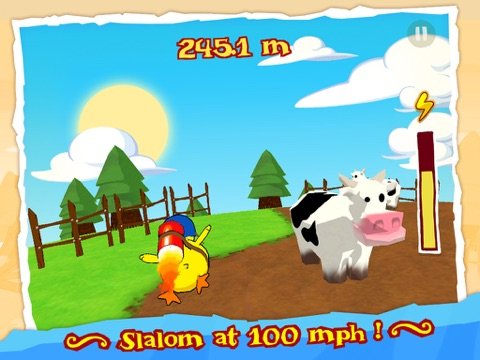RocketBird Premium for iPad