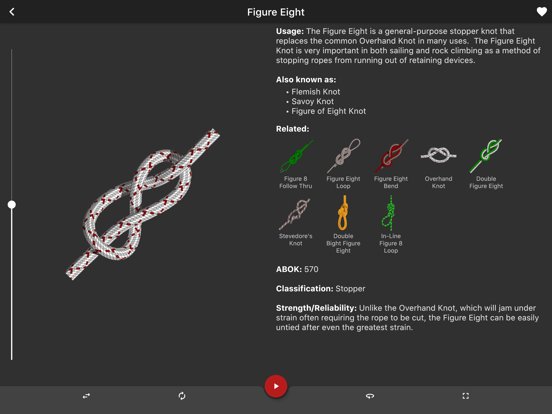 Knots 3D