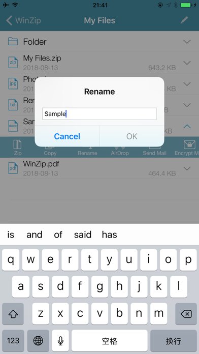 WinZip Pro