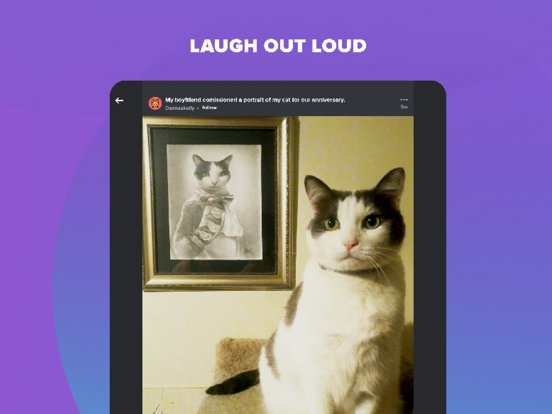Imgur: Funny Memes & GIF Maker