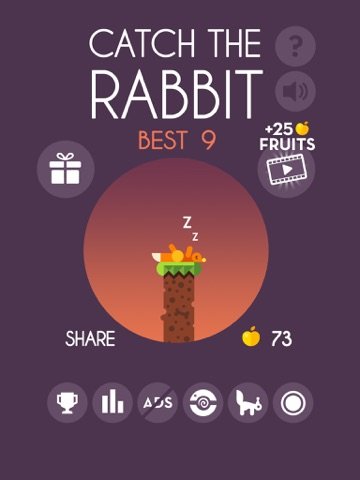 Rabbit
