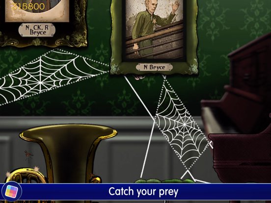 Spider