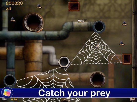 Spider