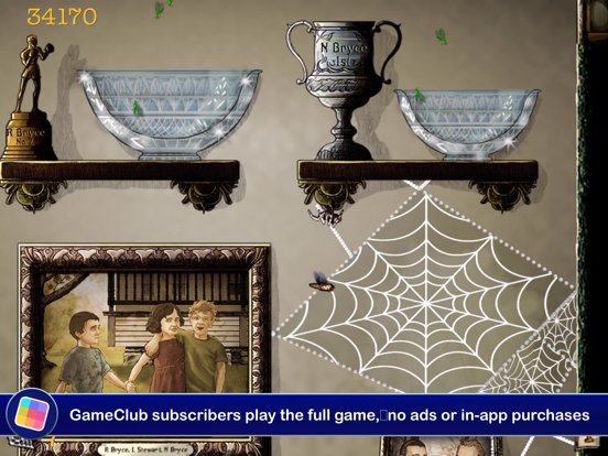 Spider