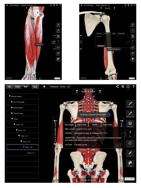 The Muscle System Pro - iPad edition
