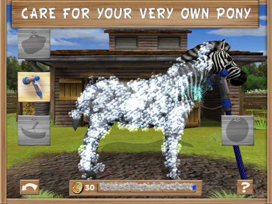 Pony Trails