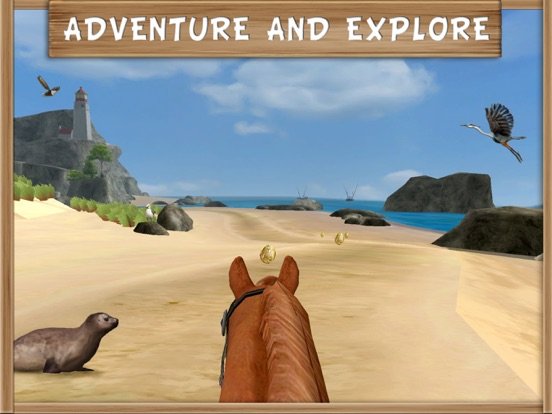 Pony Trails