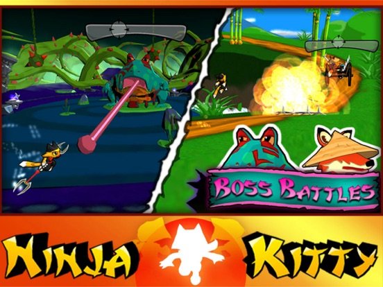 Ninja Kitty