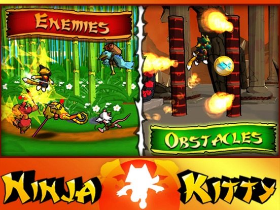Ninja Kitty