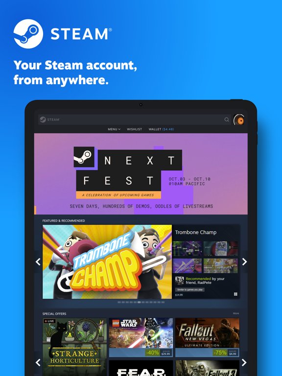 Steam