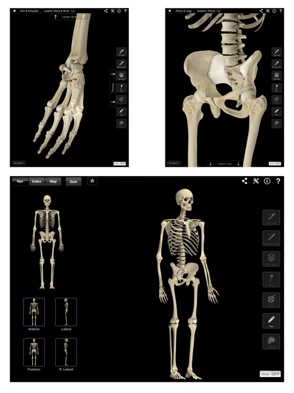The Skeletal System Pro - iPad edition